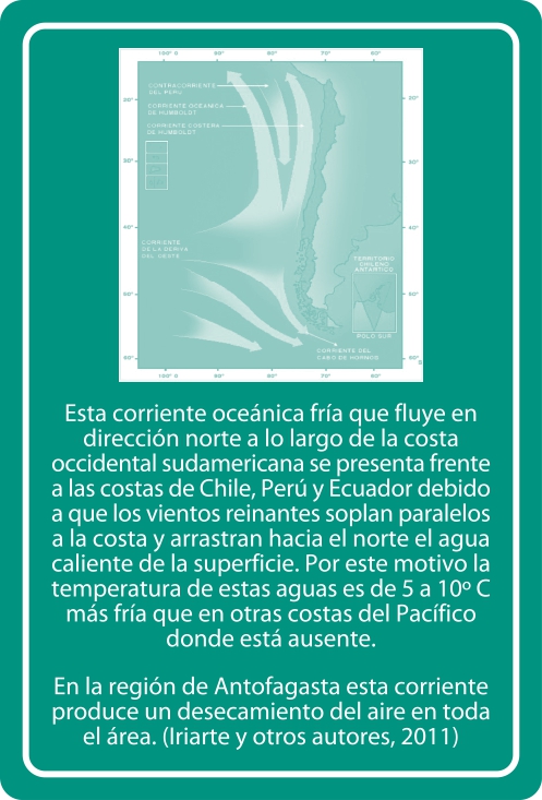Portada Reverso